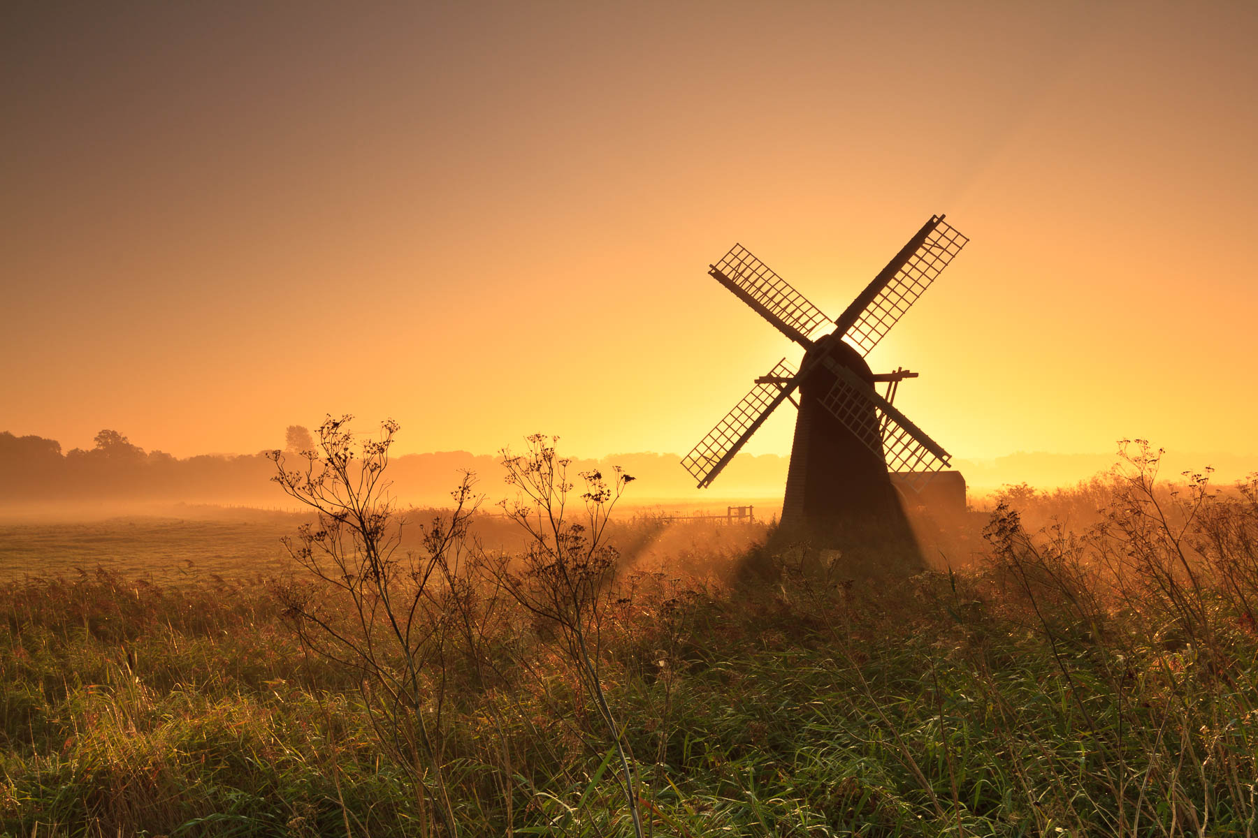 Sunrise - Herringfleet, Suffolk