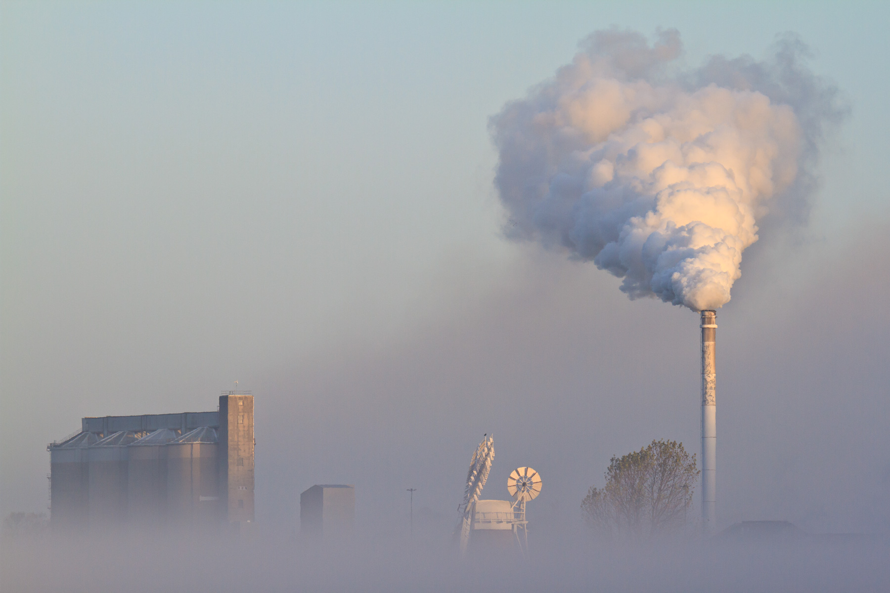 Cantley and Hardley Mill
