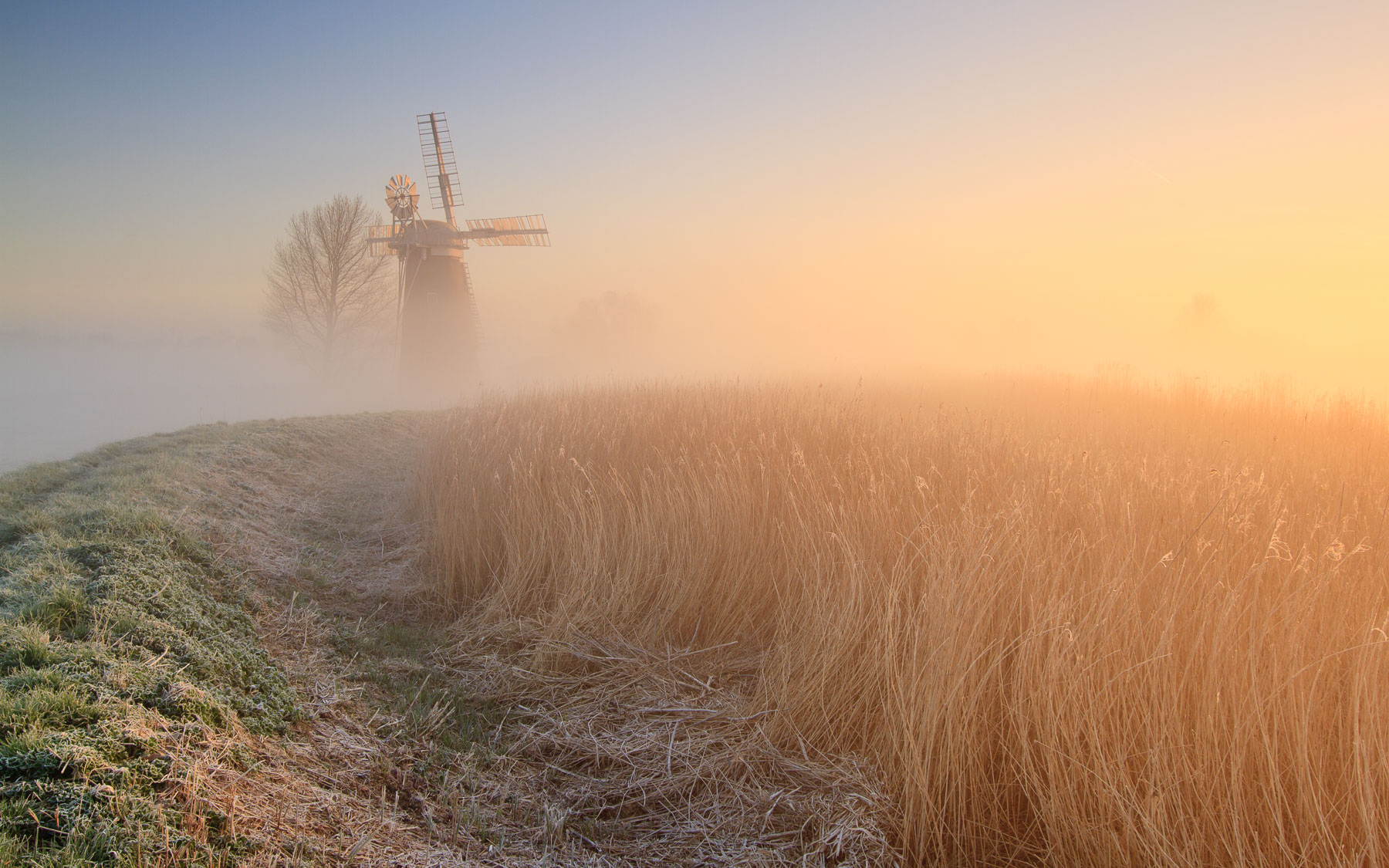 Hardley Mill - Sunrise