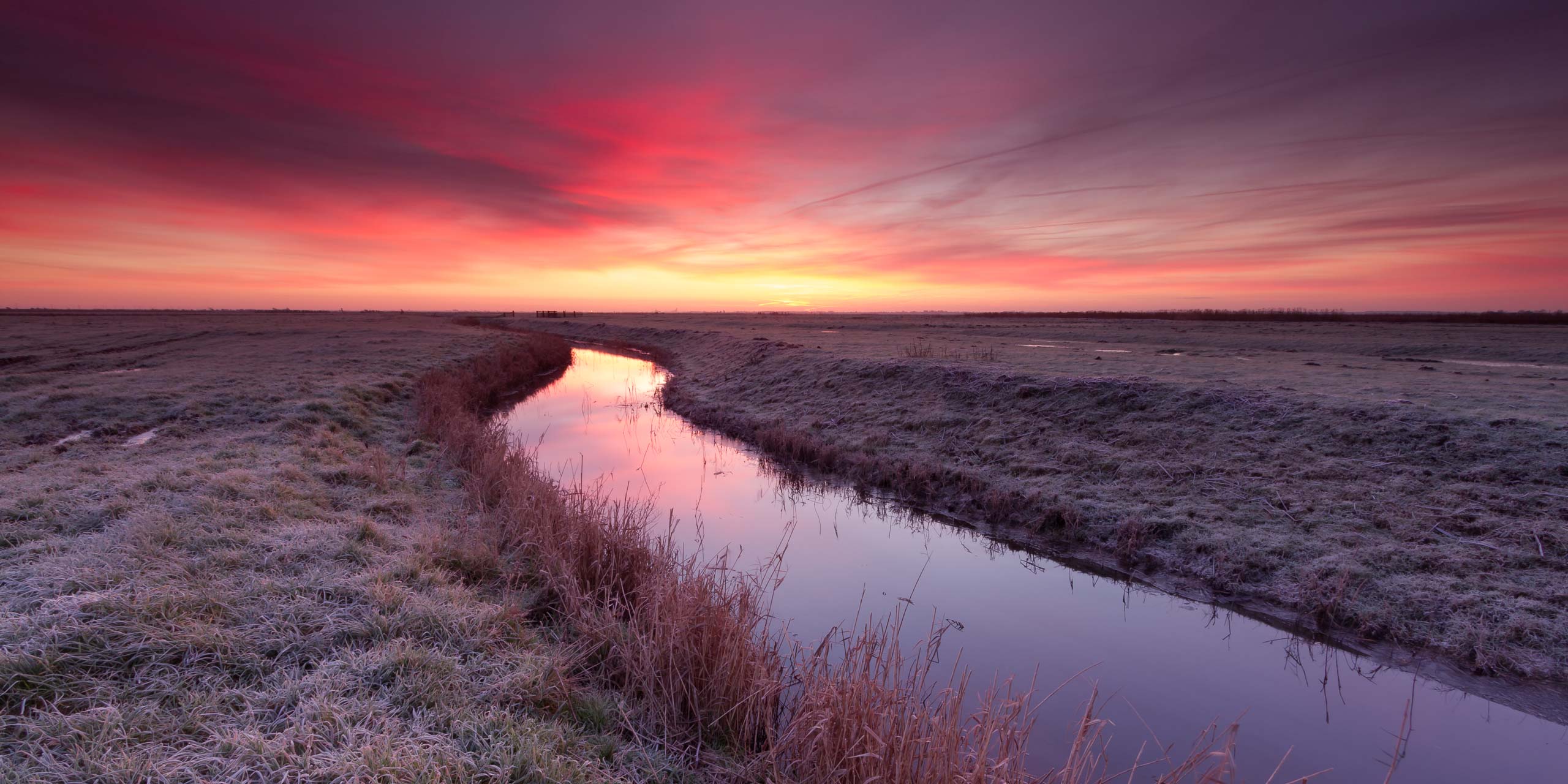 Dawn - Halvergate Marsh
