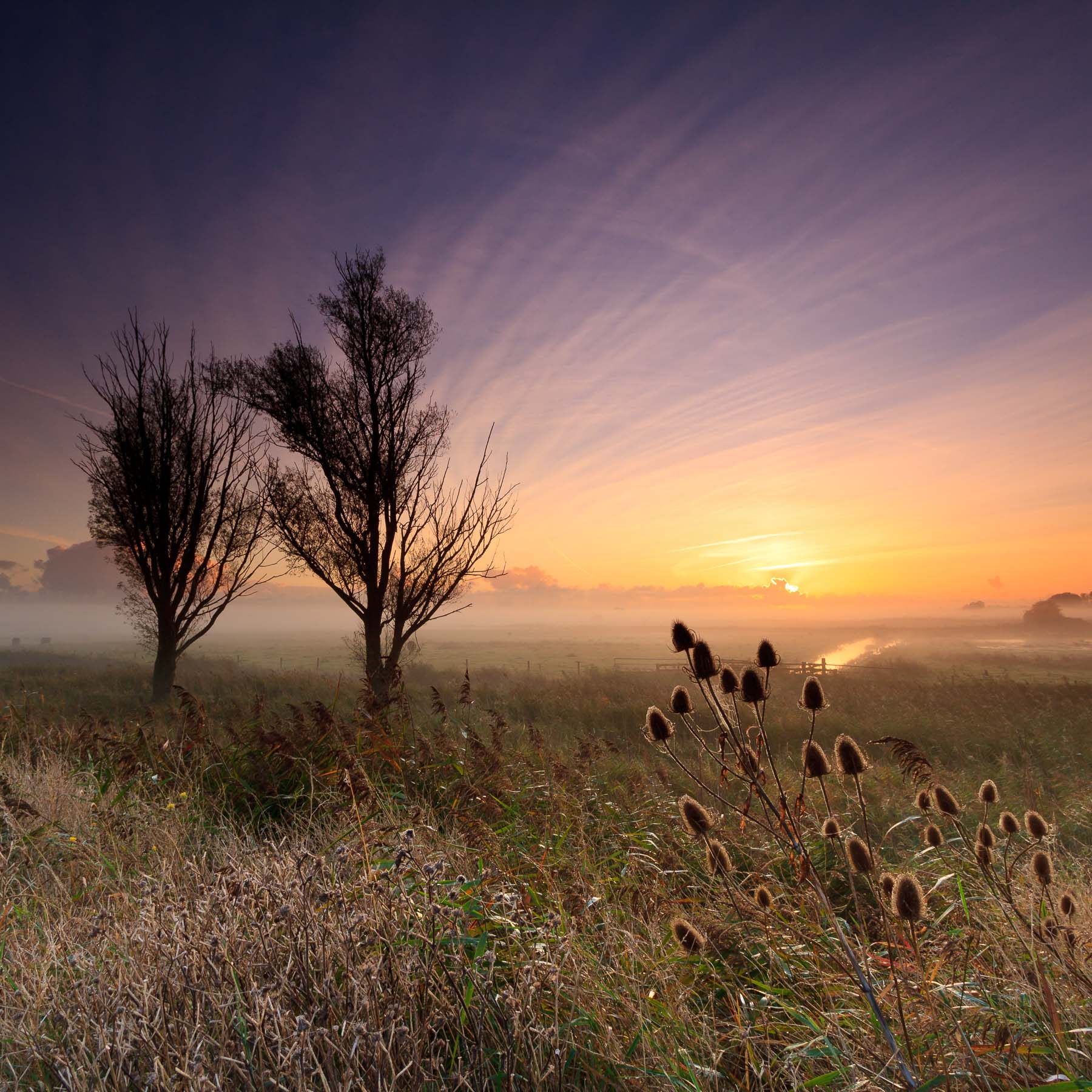Sunrise from Hardley Staithe