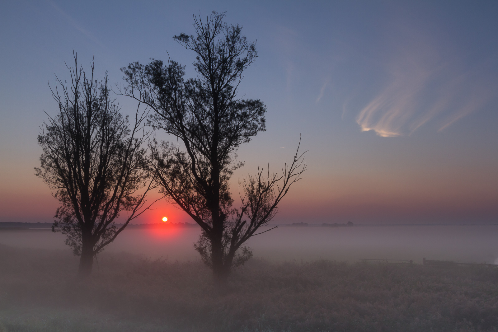 Hardley Staithe Sunrise