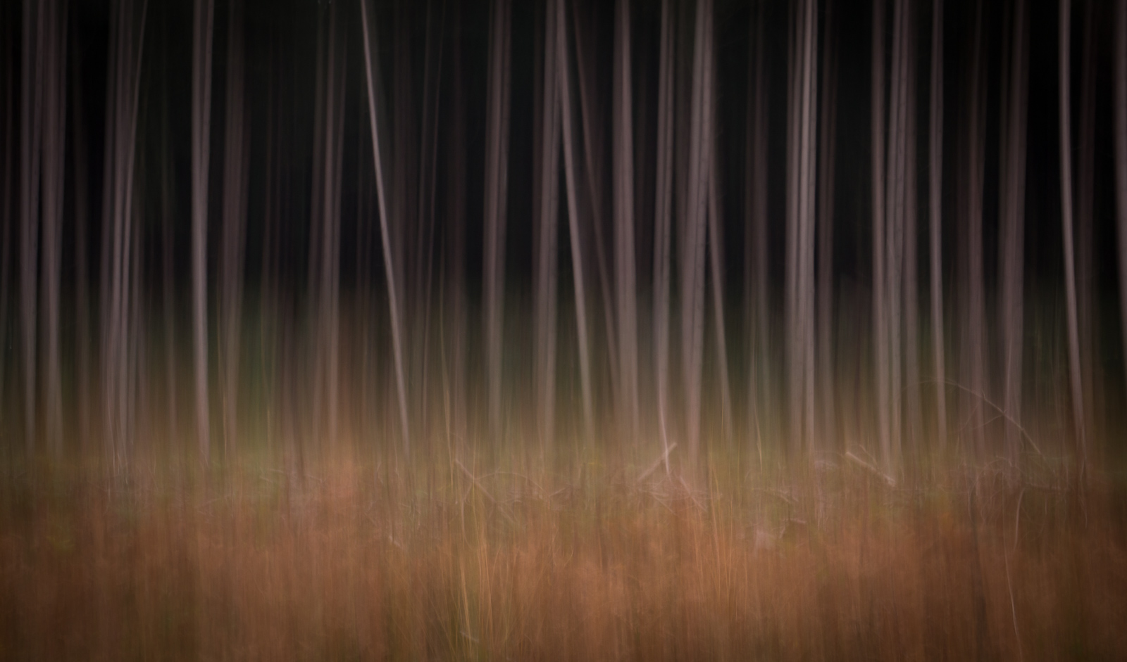 Autumn ICM