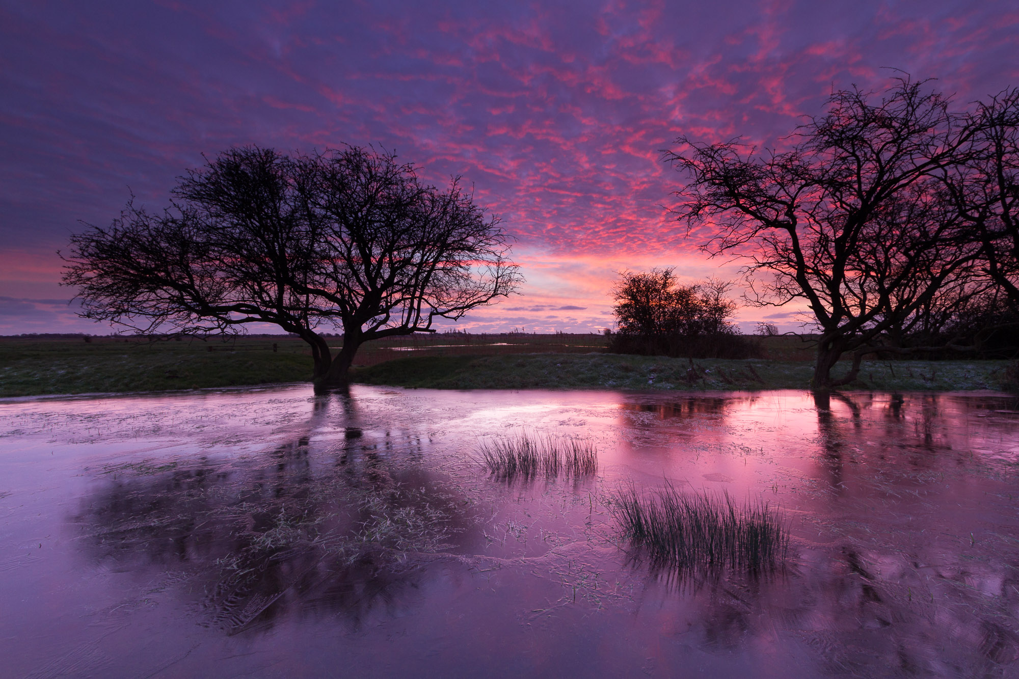 Dawn, near St Bennet's Abbey
