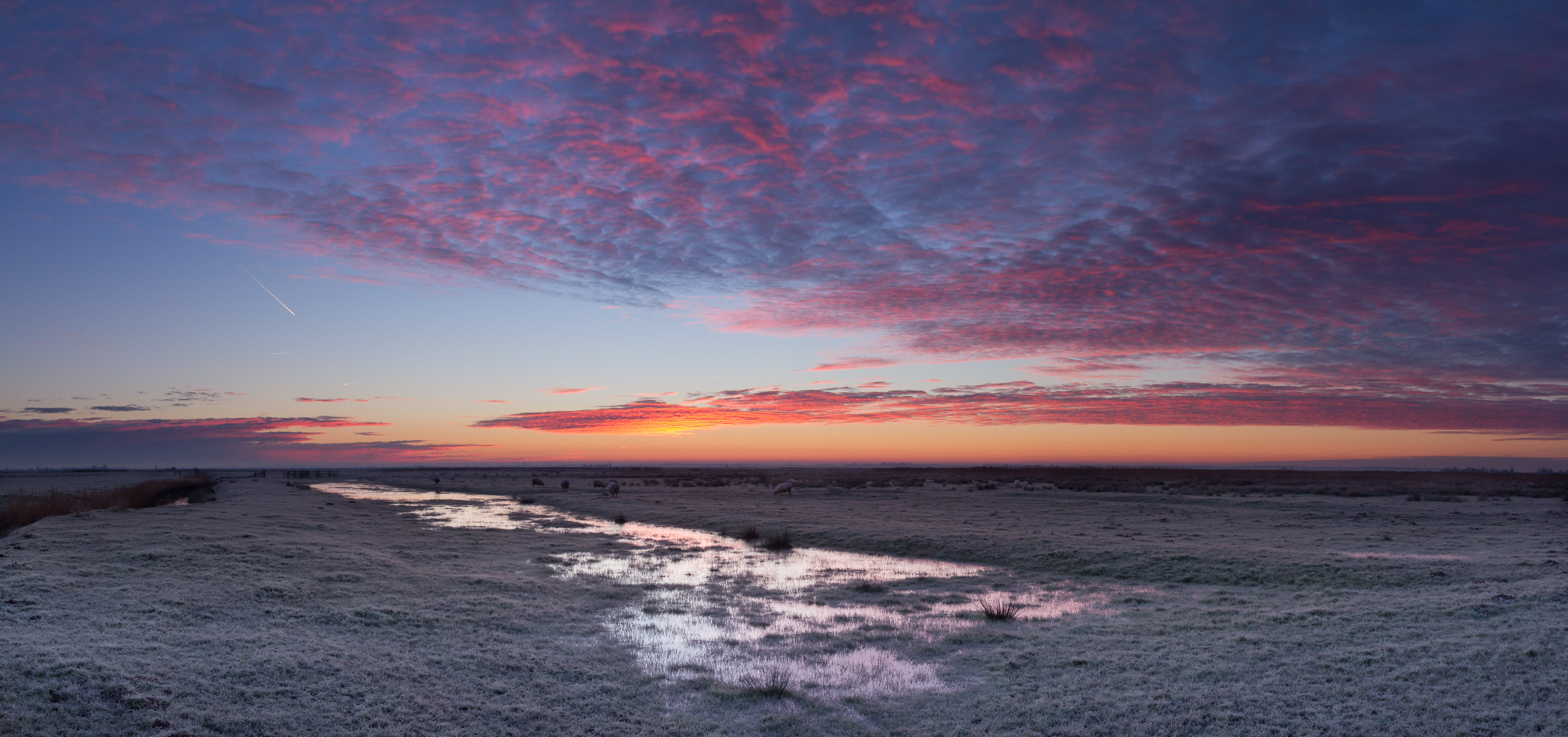 Halvergate Panoramic