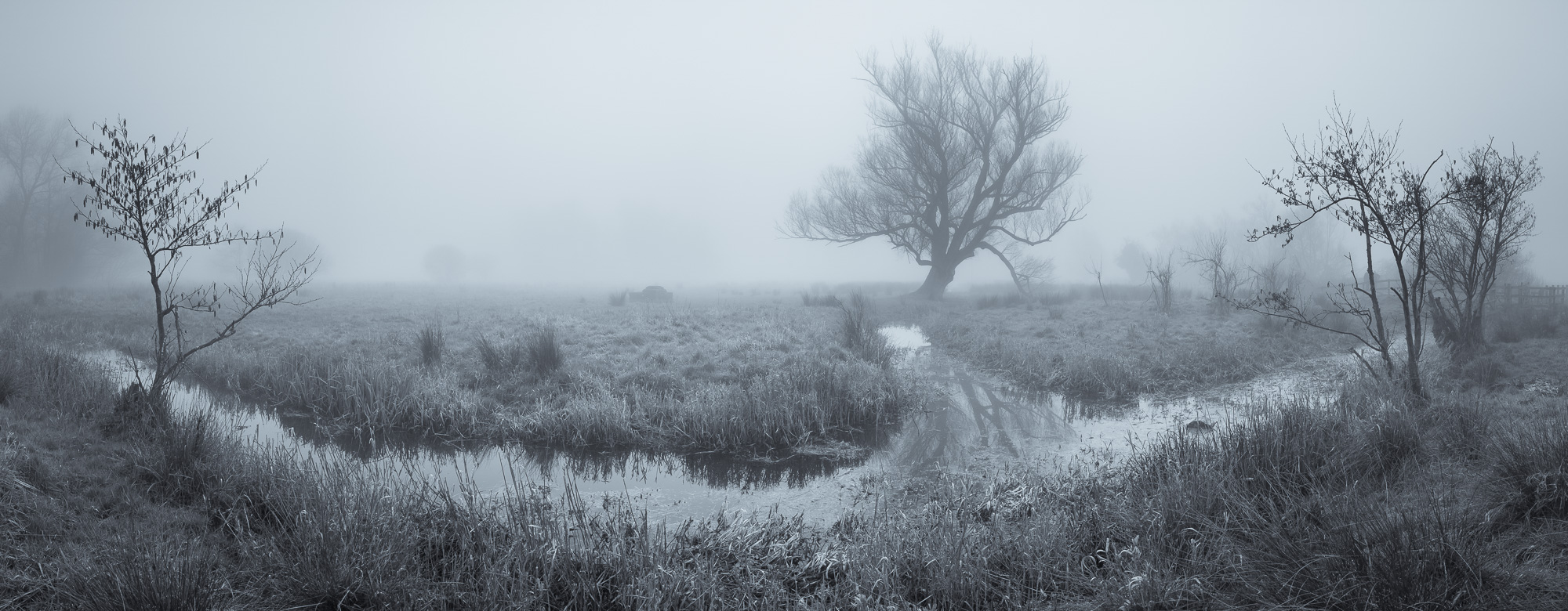 Marston Marsh Panoramic