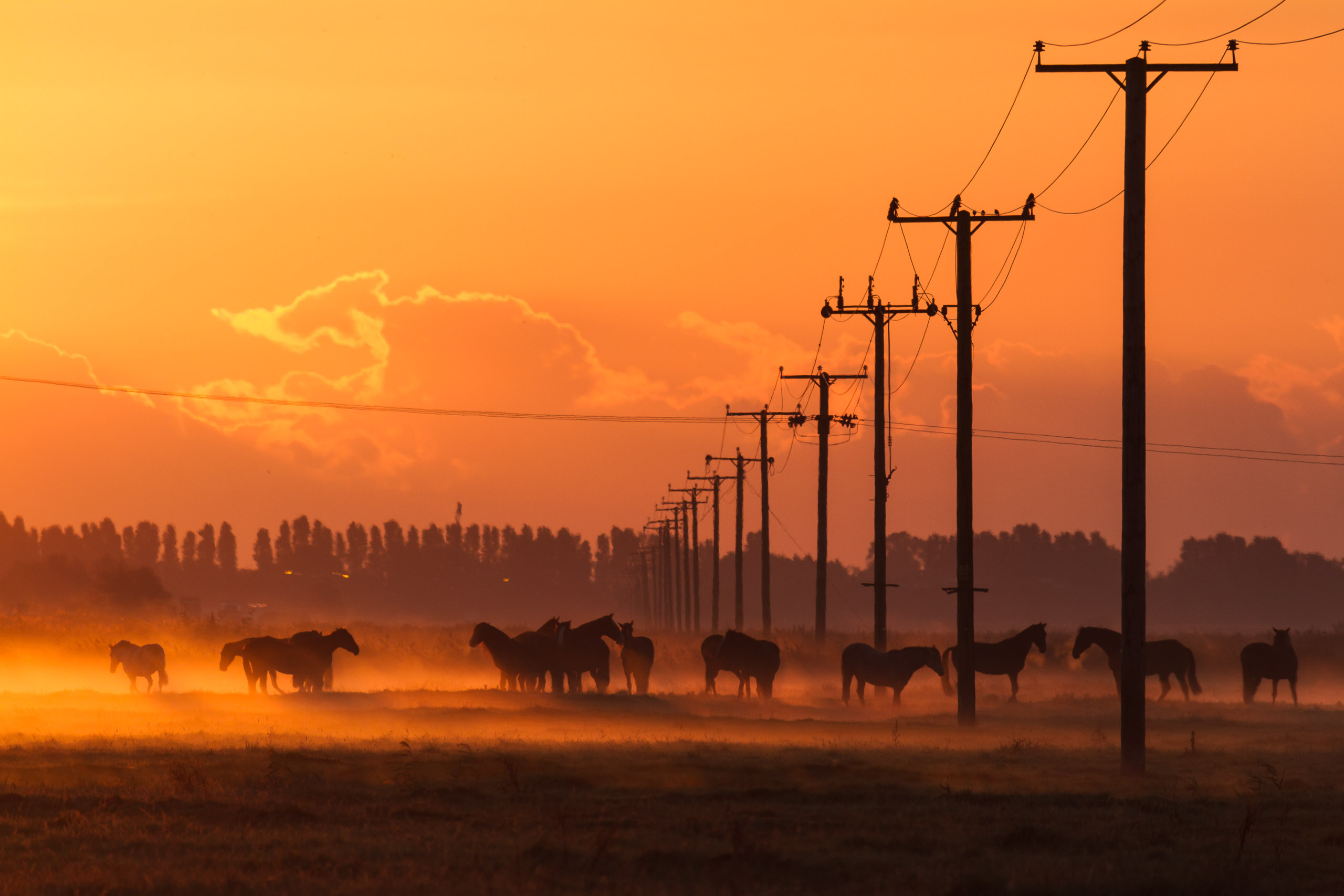 Sunrise on the Acle Straight