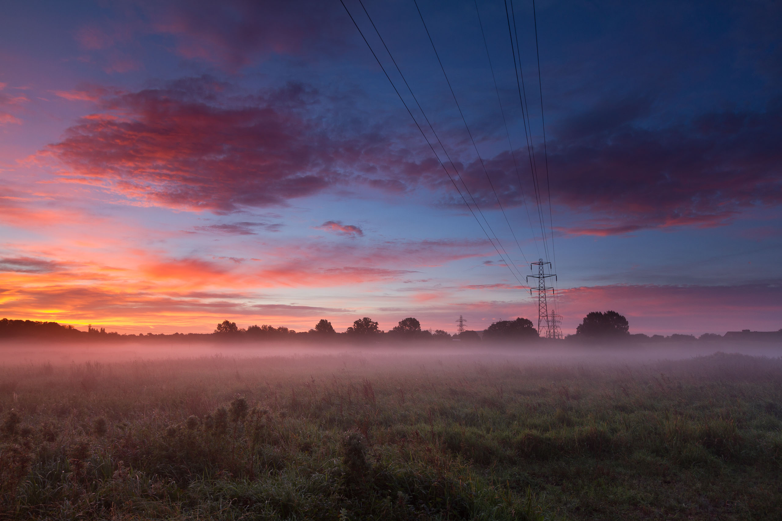 Bowthorpe Marsh