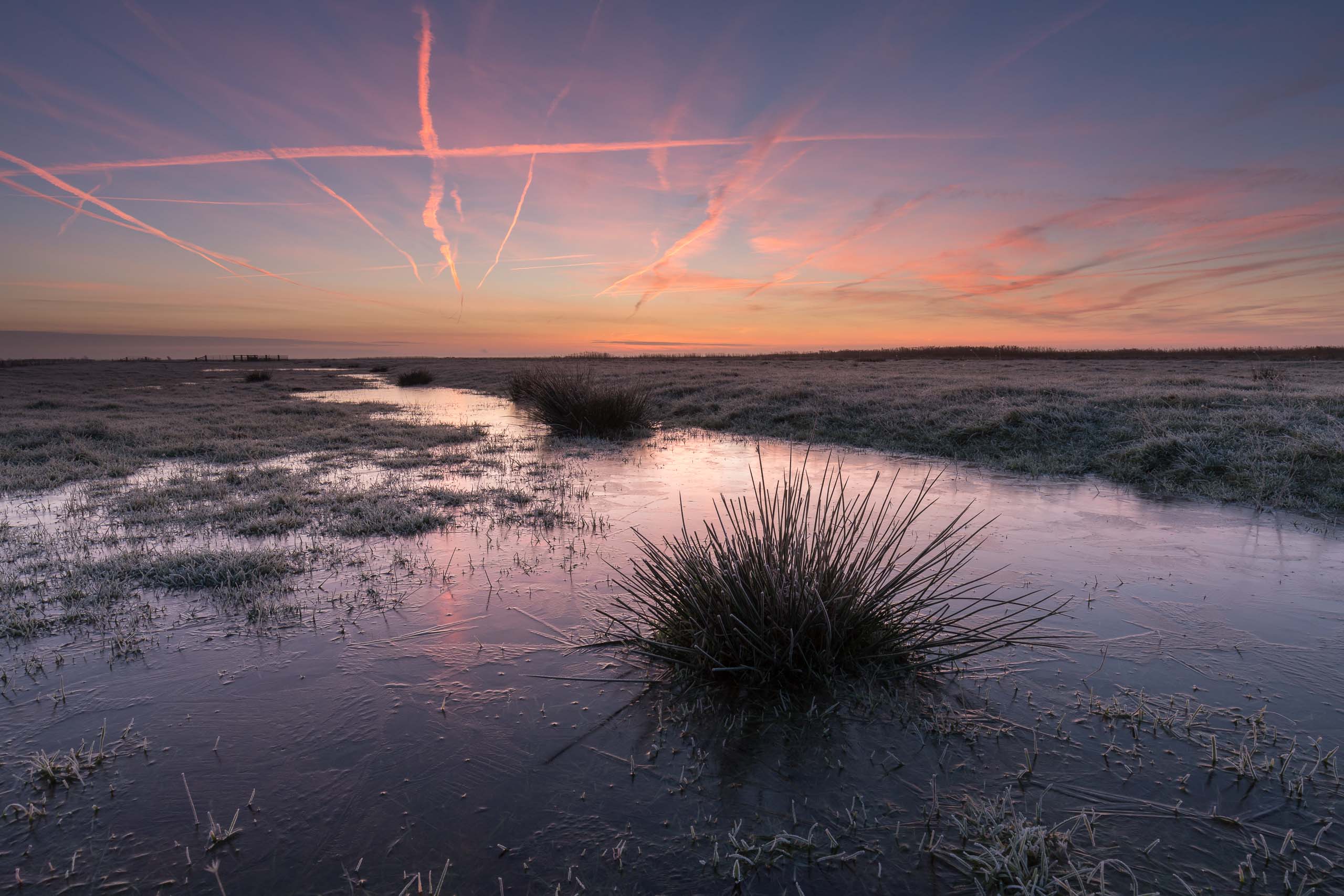 Sunrise, Halvergate Marsh