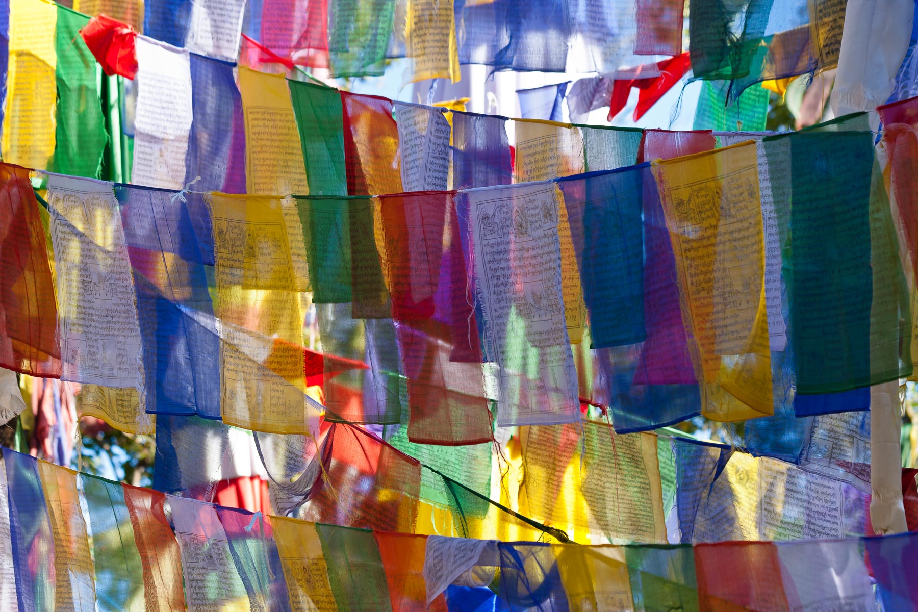 Prayer Flags - Darjeeling